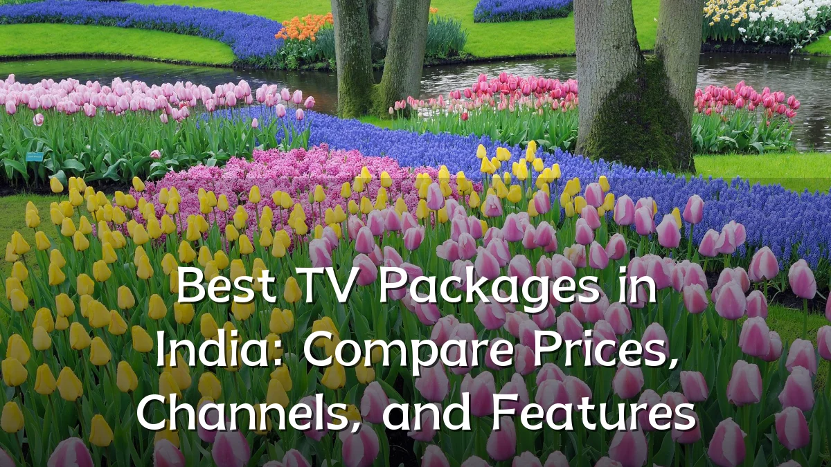 Best TV Packages in India: Compare Prices, Channels, and Features