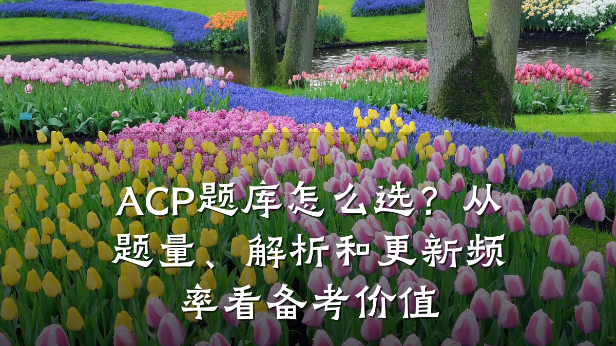 ACP题库怎么选?从题量、解析和更新频率看备考价值