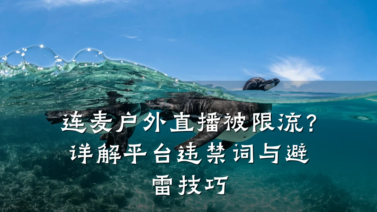 连麦户外直播被限流?详解平台违禁词与避雷技巧