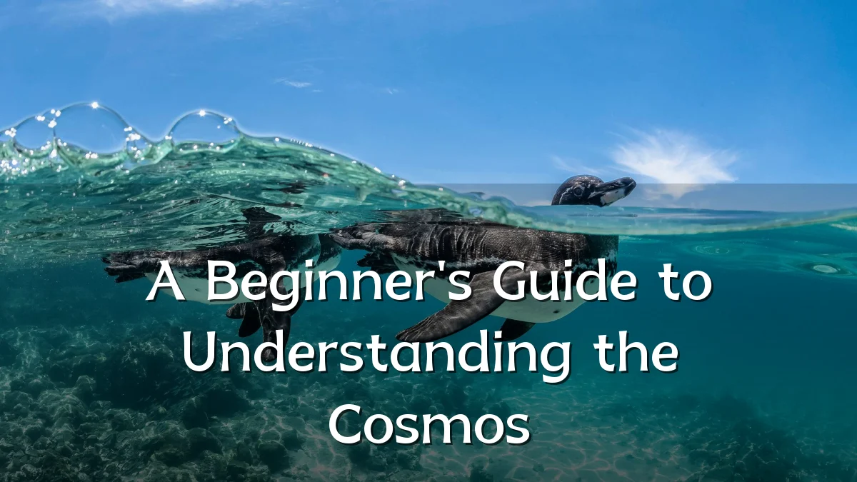 A Beginner's Guide to Understanding the Cosmos
