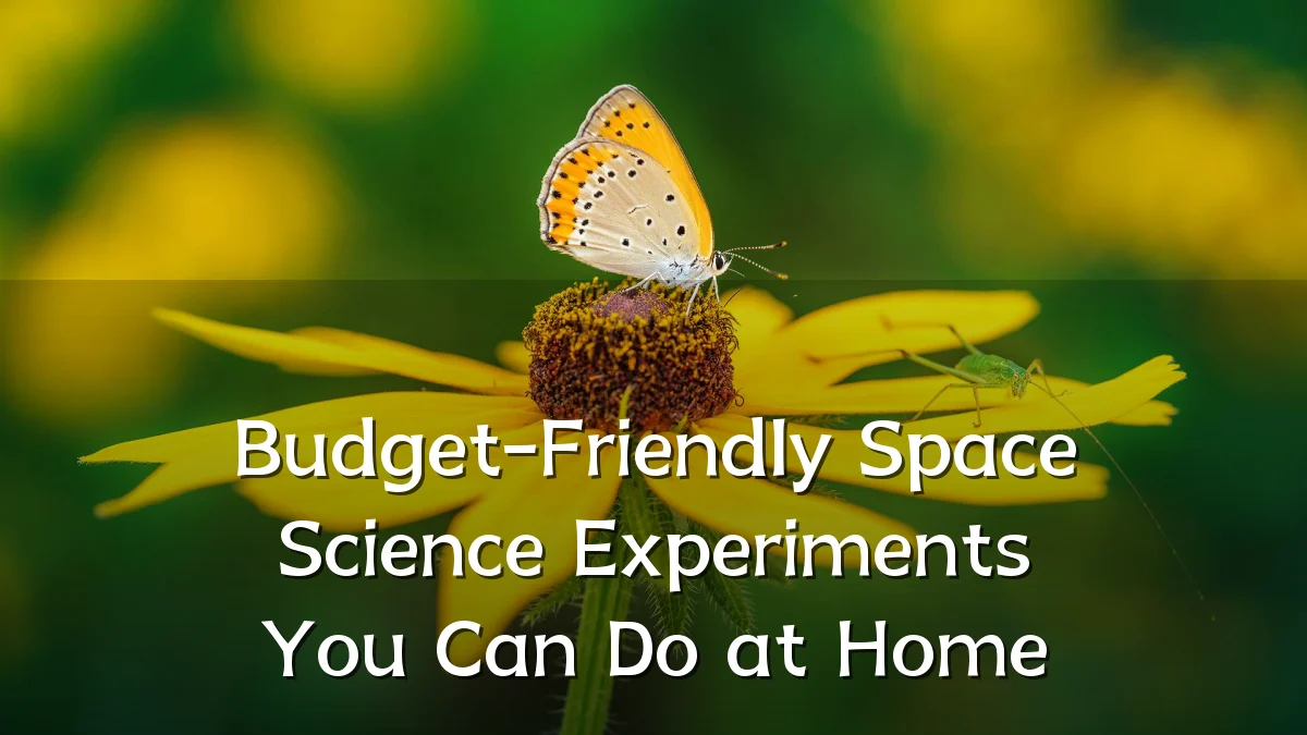 Budget-Friendly Space Science Experiments You Can Do at Home