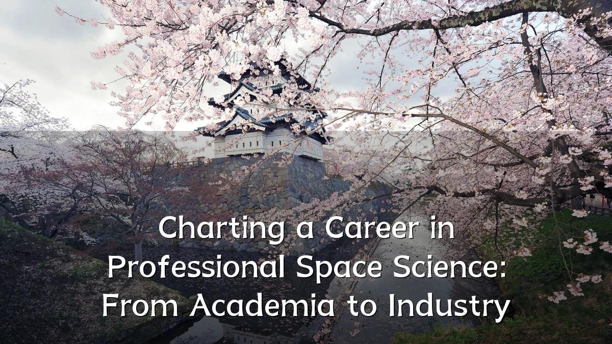Charting a Career in Professional Space Science: From Academia to Industry