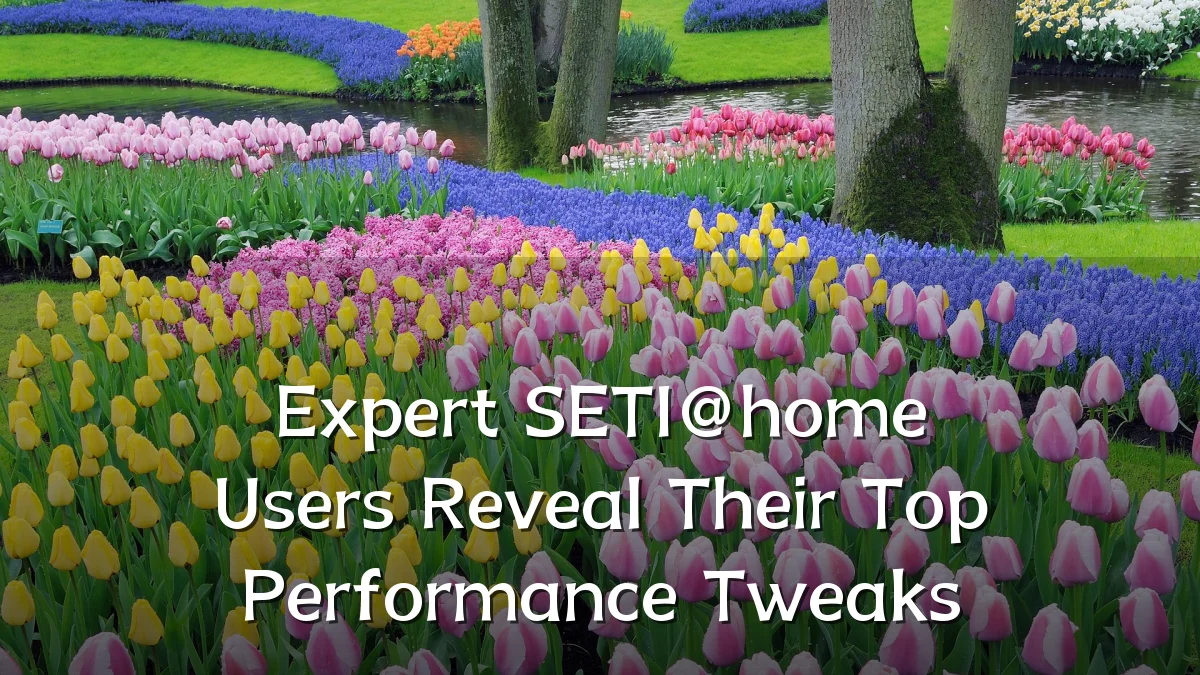 Expert SETI@home Users Reveal Their Top Performance Tweaks