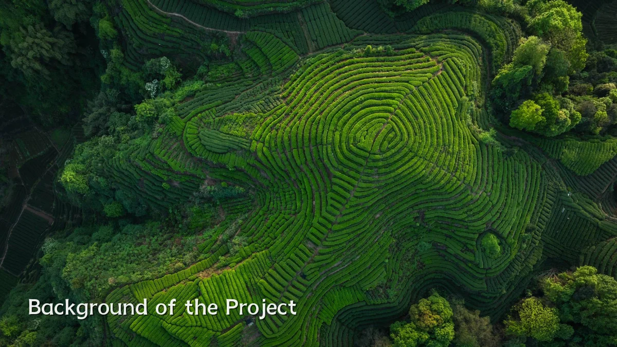 Background of the Project