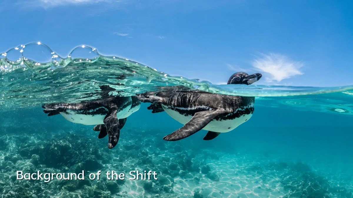 Background of the Shift