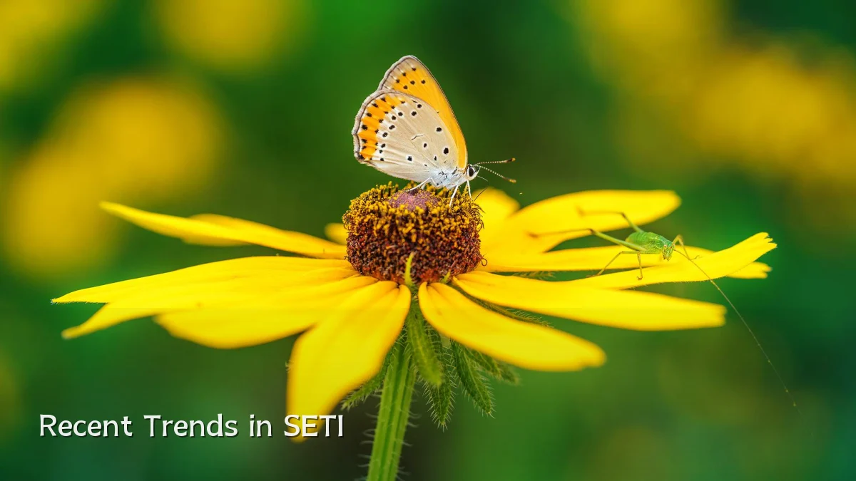 Recent Trends in SETI