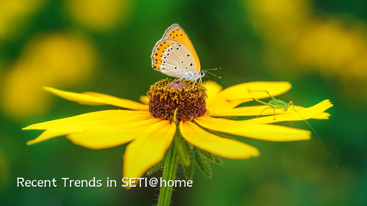Recent Trends in SETI@home