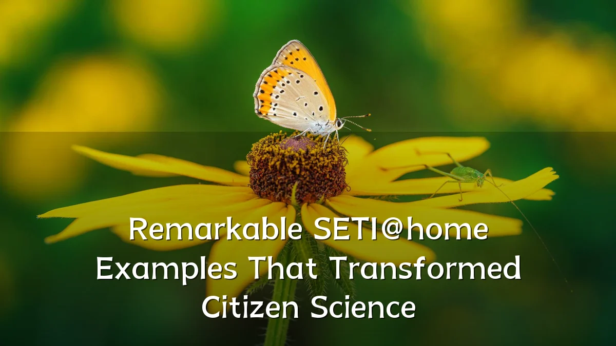 Remarkable SETI@home Examples That Transformed Citizen Science