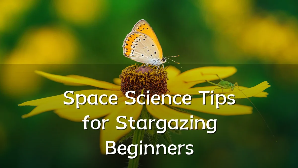 Space Science Tips for Stargazing Beginners