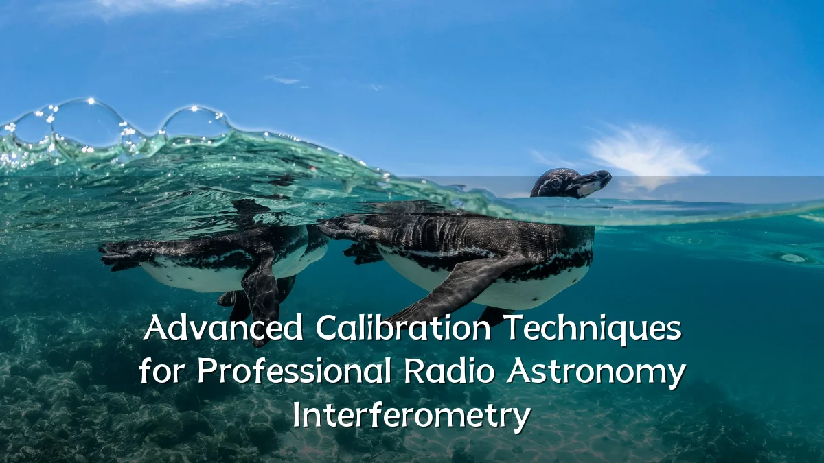 Advanced Calibration Techniques for Professional Radio Astronomy Interferometry