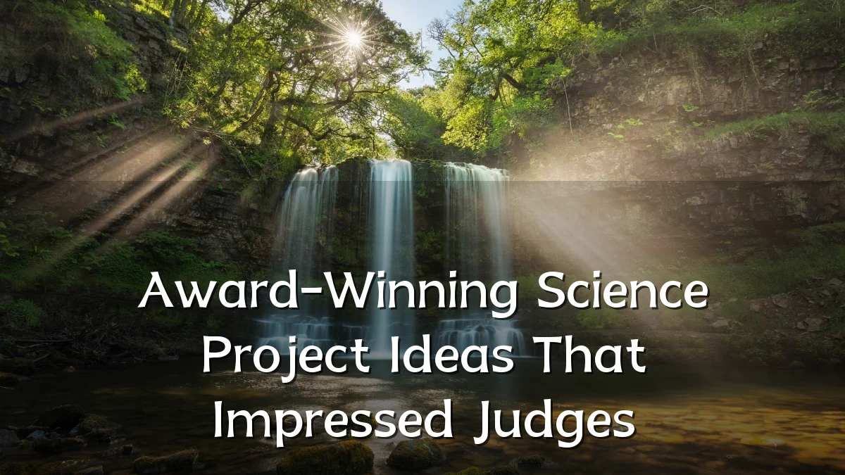 Award-Winning Science Project Ideas That Impressed Judges
