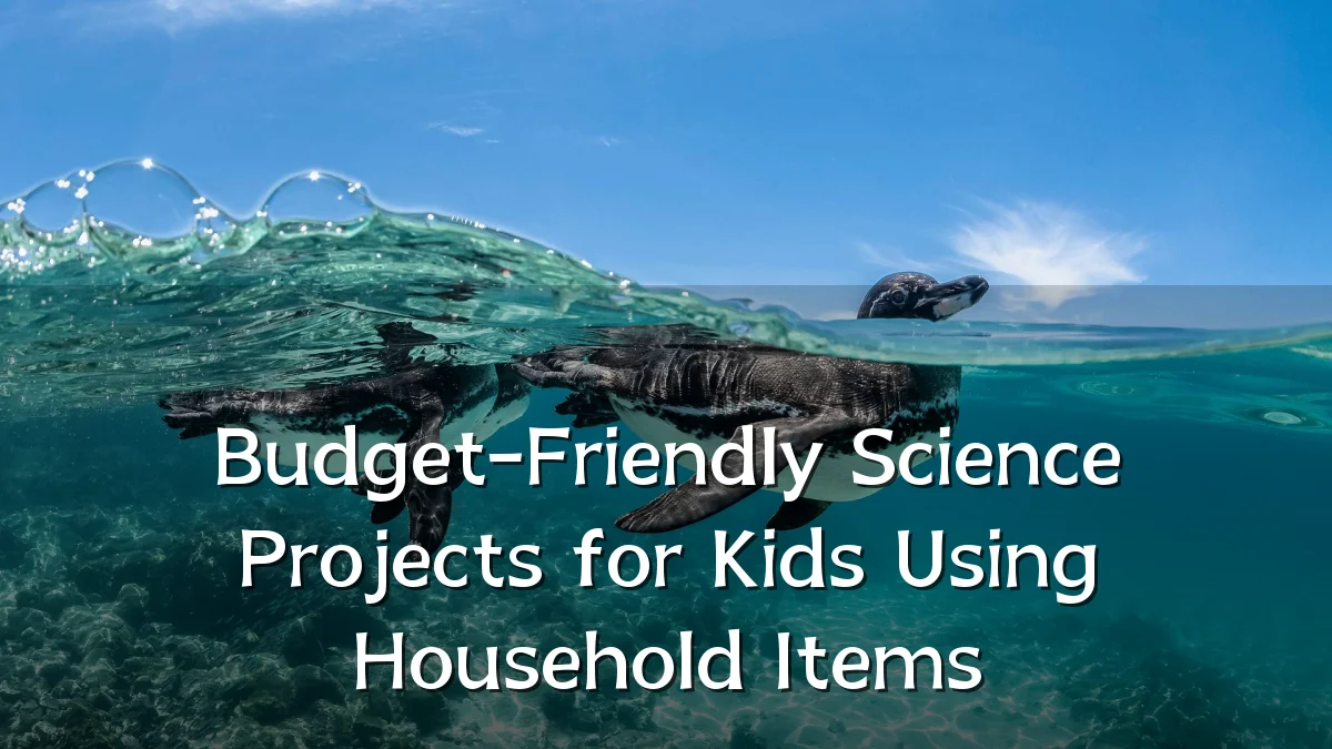 Budget-Friendly Science Projects for Kids Using Household Items