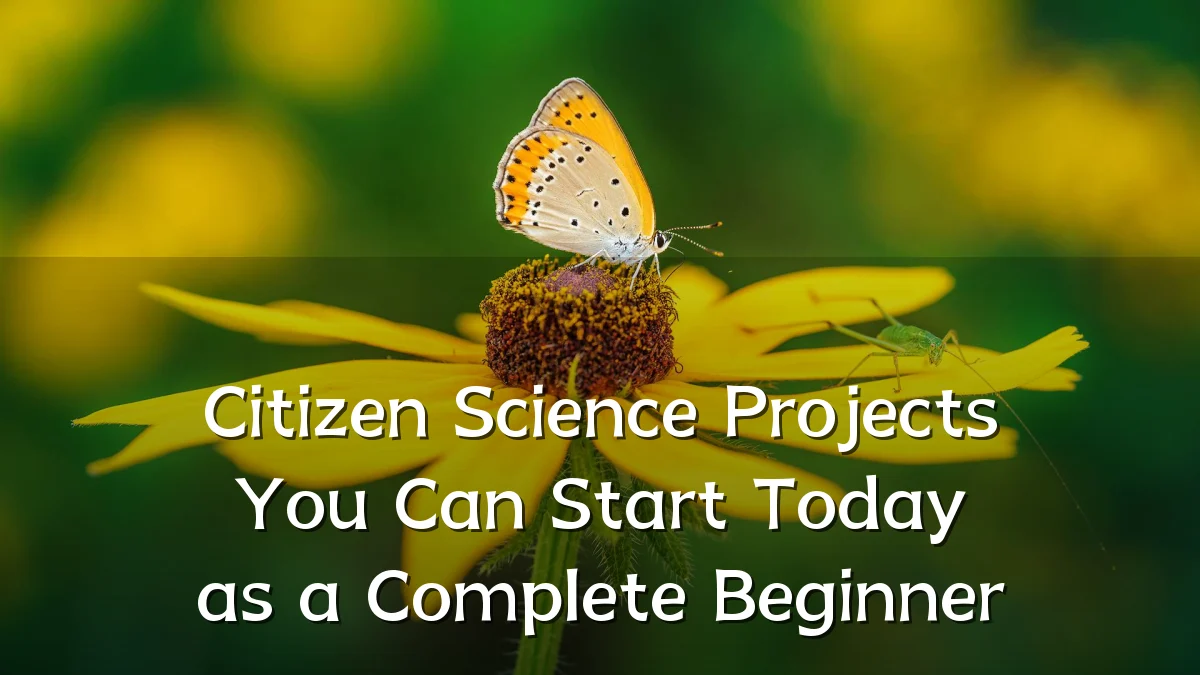 Citizen Science Projects You Can Start Today as a Complete Beginner