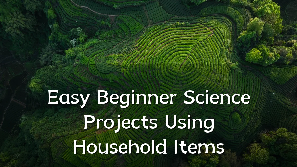 Easy Beginner Science Projects Using Household Items