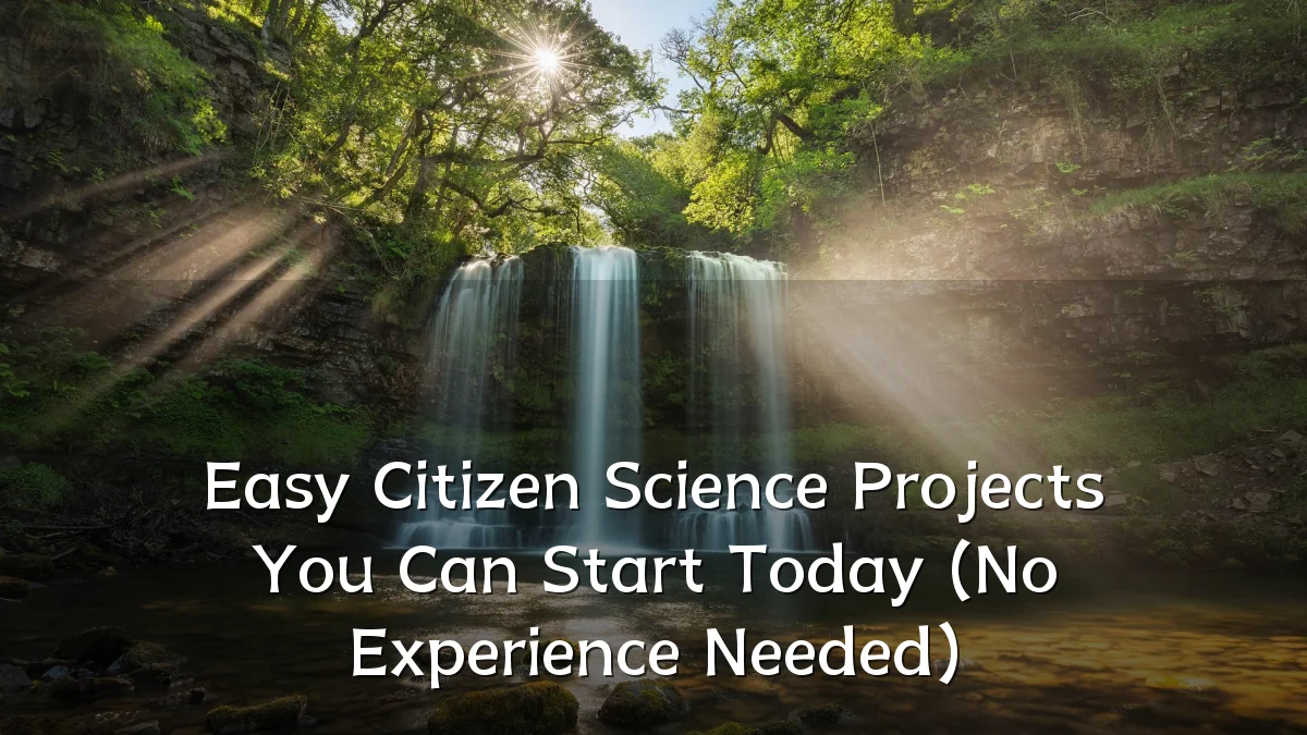 Easy Citizen Science Projects You Can Start Today (No Experience Needed)