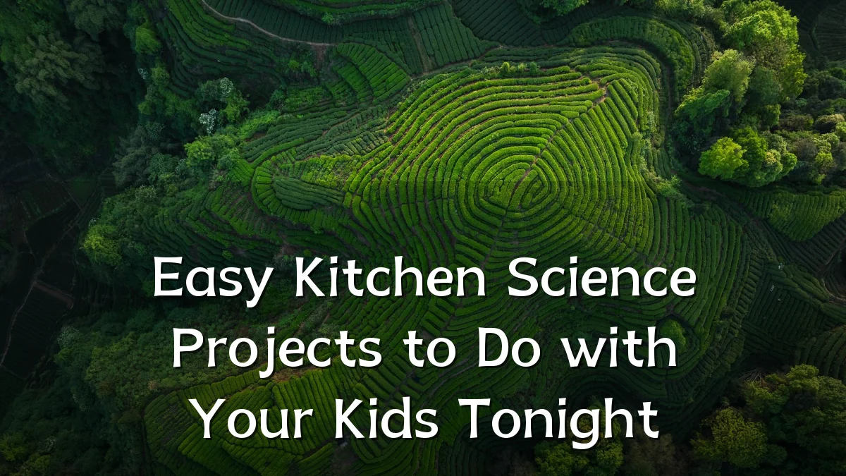 Easy Kitchen Science Projects to Do with Your Kids Tonight
