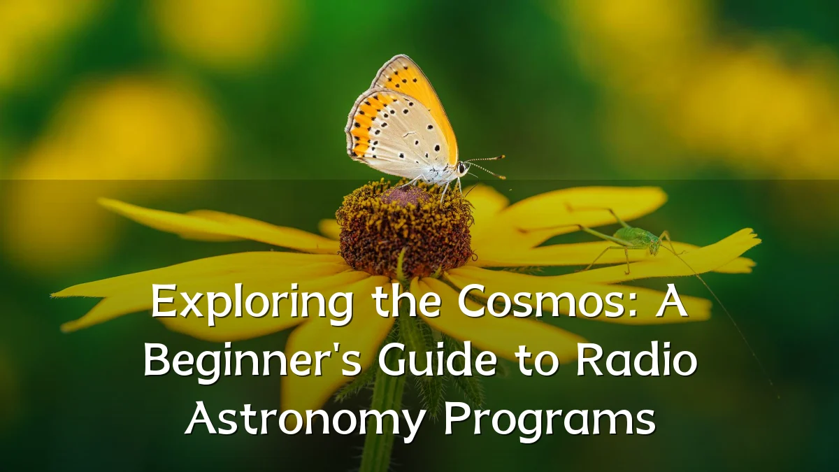 Exploring the Cosmos: A Beginner's Guide to Radio Astronomy Programs