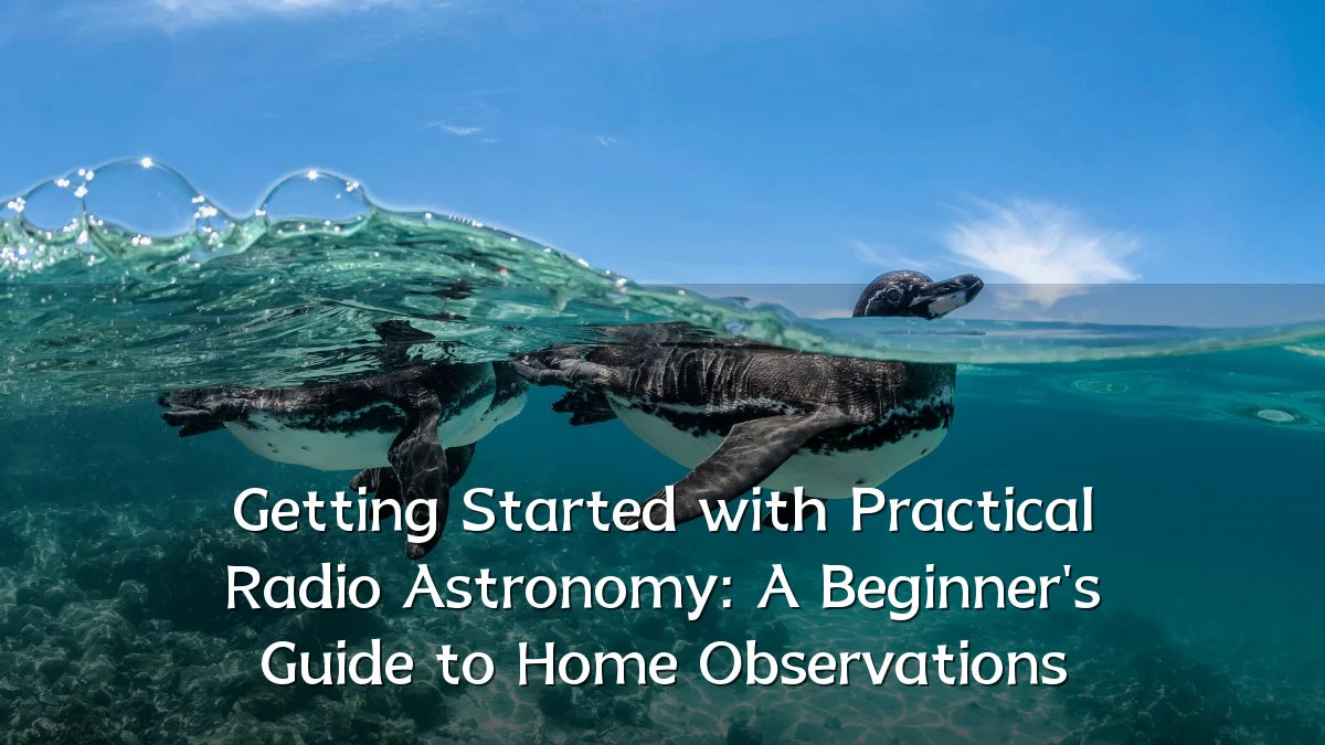 Getting Started with Practical Radio Astronomy: A Beginner's Guide to Home Observations