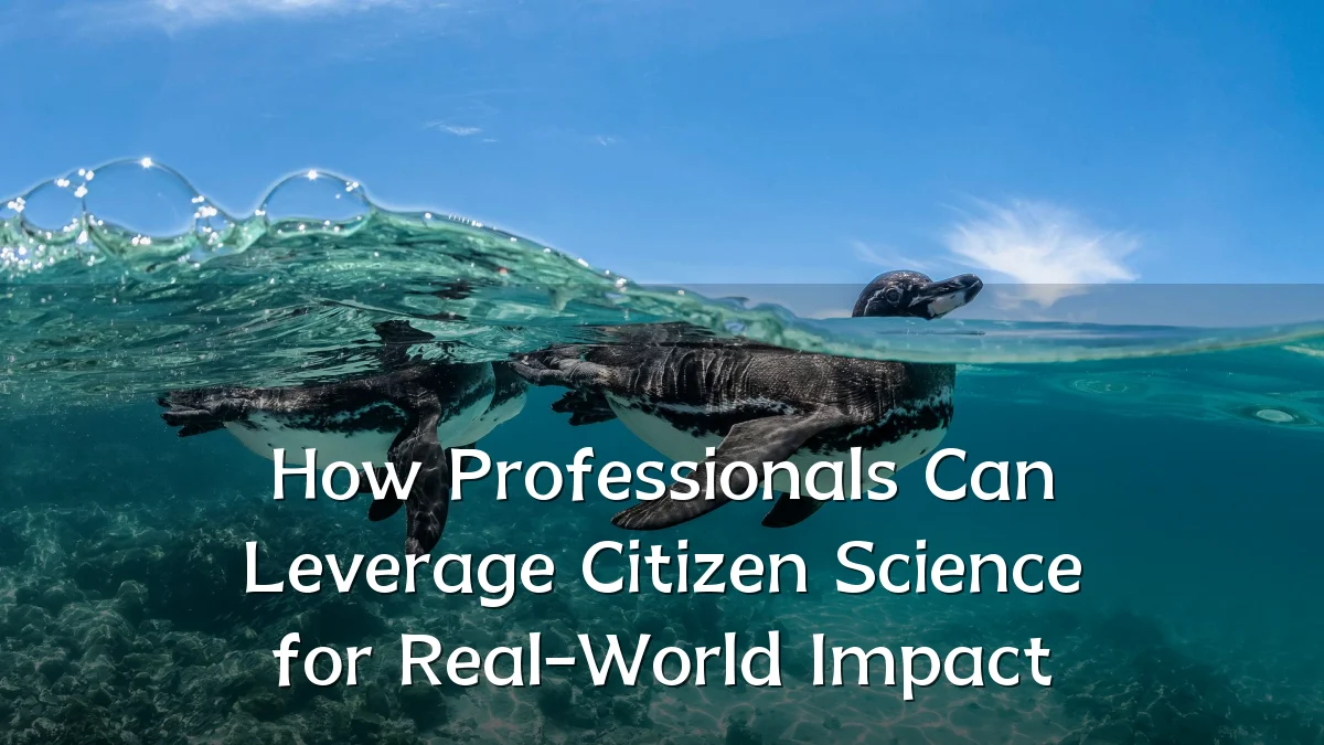 How Professionals Can Leverage Citizen Science for Real-World Impact