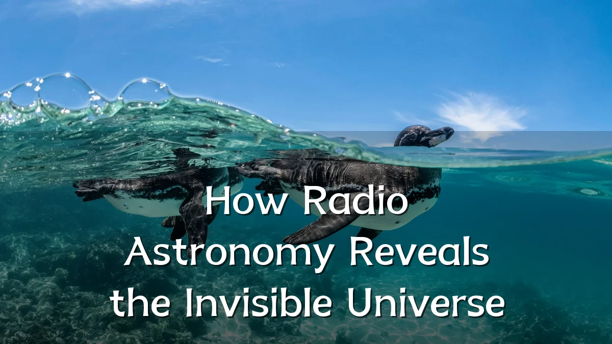 How Radio Astronomy Reveals the Invisible Universe