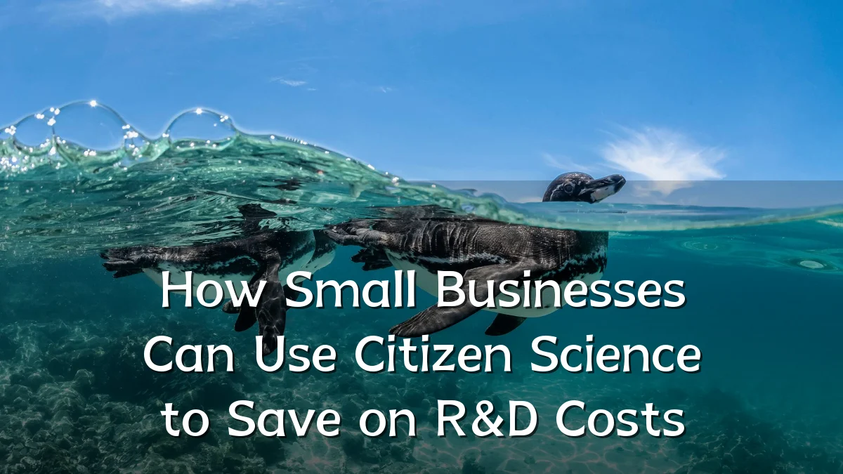 How Small Businesses Can Use Citizen Science to Save on R&D Costs