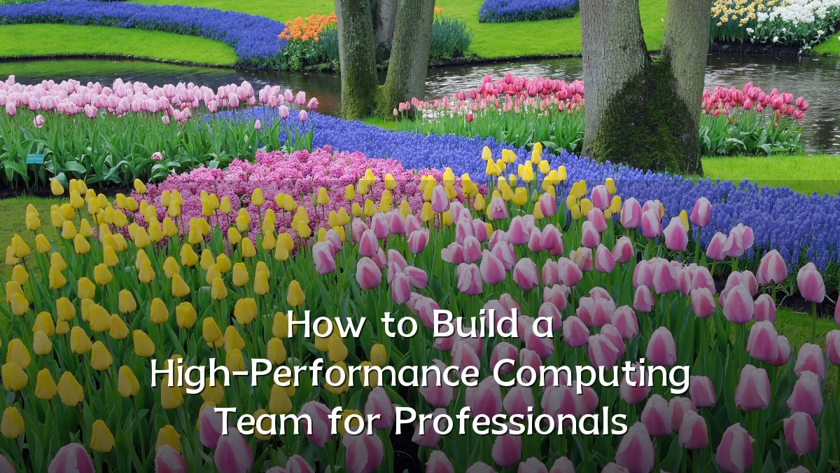 How to Build a High-Performance Computing Team for Professionals