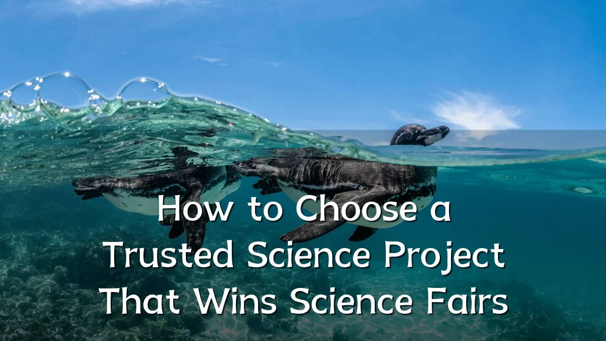 How to Choose a Trusted Science Project That Wins Science Fairs