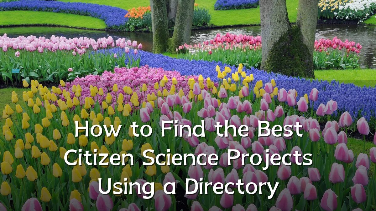How to Find the Best Citizen Science Projects Using a Directory