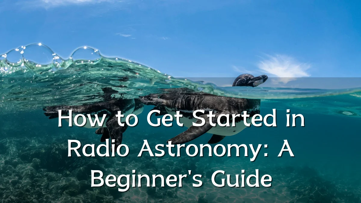 How to Get Started in Radio Astronomy: A Beginner's Guide