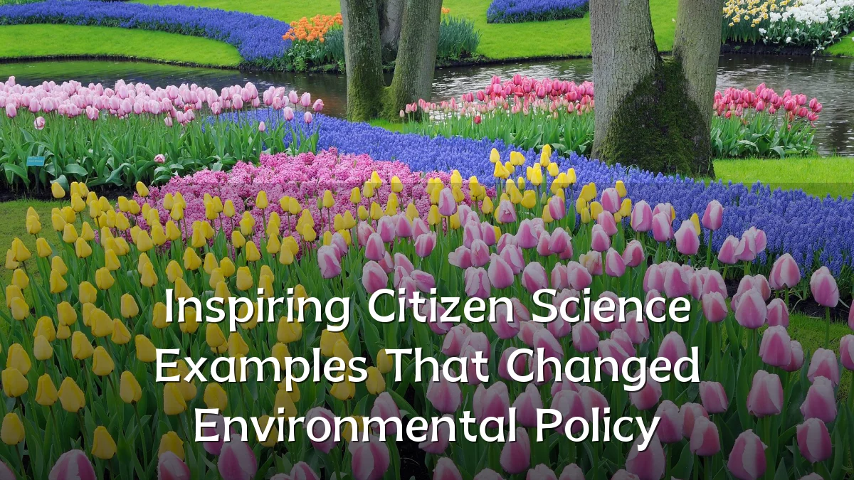 Inspiring Citizen Science Examples That Changed Environmental Policy