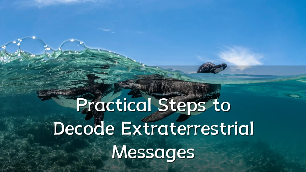 Practical Steps to Decode Extraterrestrial Messages