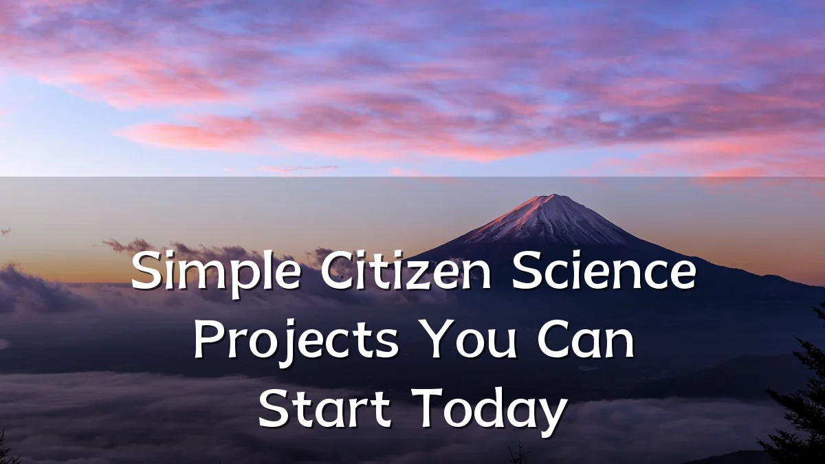 Simple Citizen Science Projects You Can Start Today