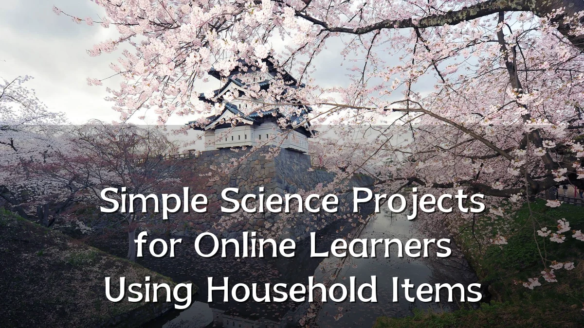 Simple Science Projects for Online Learners Using Household Items