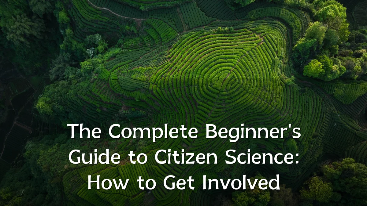 The Complete Beginner's Guide to Citizen Science: How to Get Involved