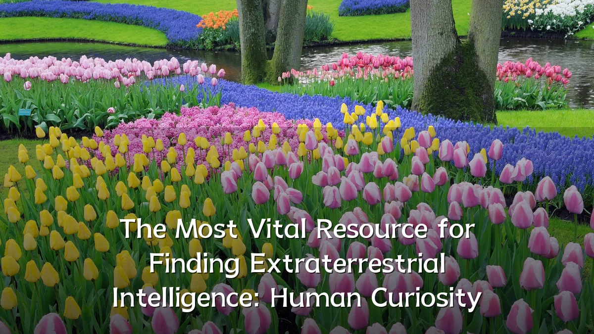 The Most Vital Resource for Finding Extraterrestrial Intelligence: Human Curiosity