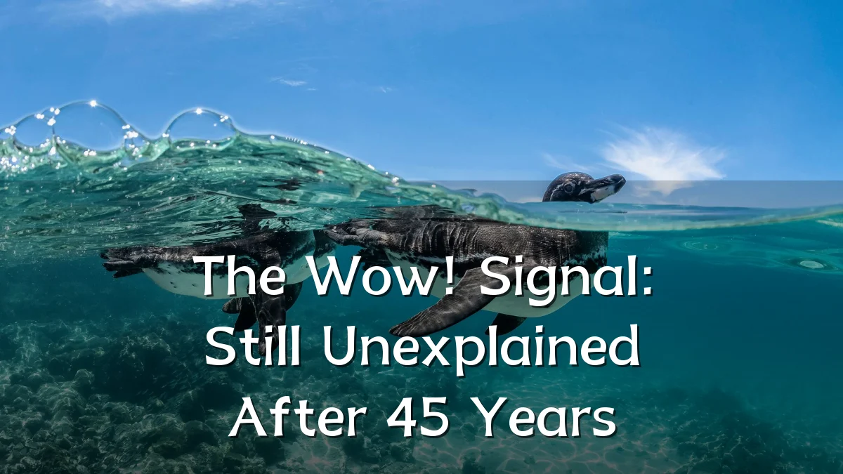 The Wow! Signal: Still Unexplained After 45 Years