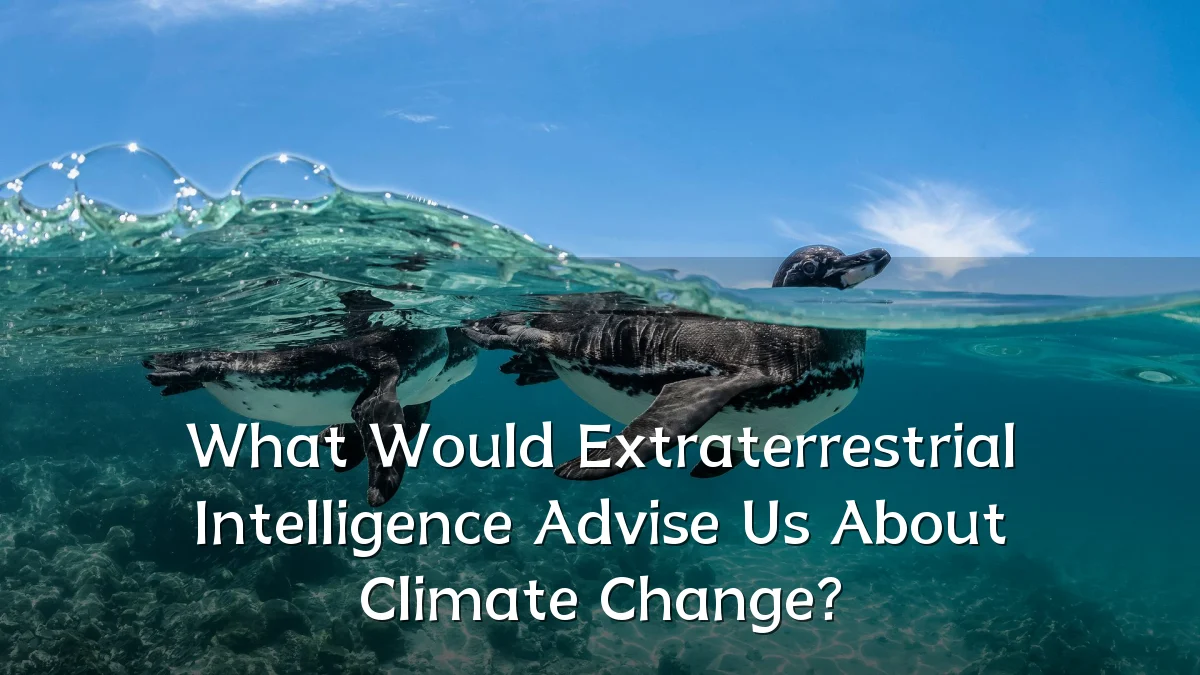 What Would Extraterrestrial Intelligence Advise Us About Climate Change?