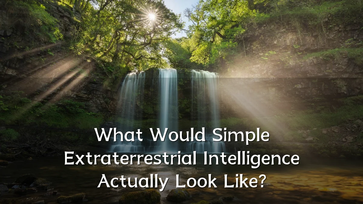 What Would Simple Extraterrestrial Intelligence Actually Look Like?