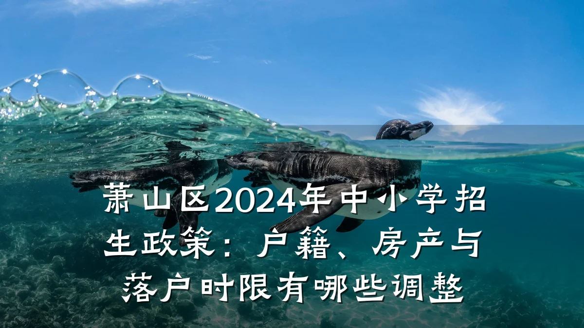 萧山区2024年中小学招生政策：户籍、房产与落户时限有哪些调整